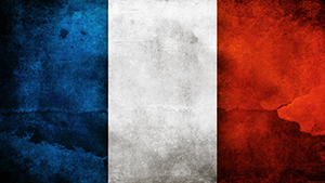 Flag FR French